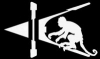admin's Avatar